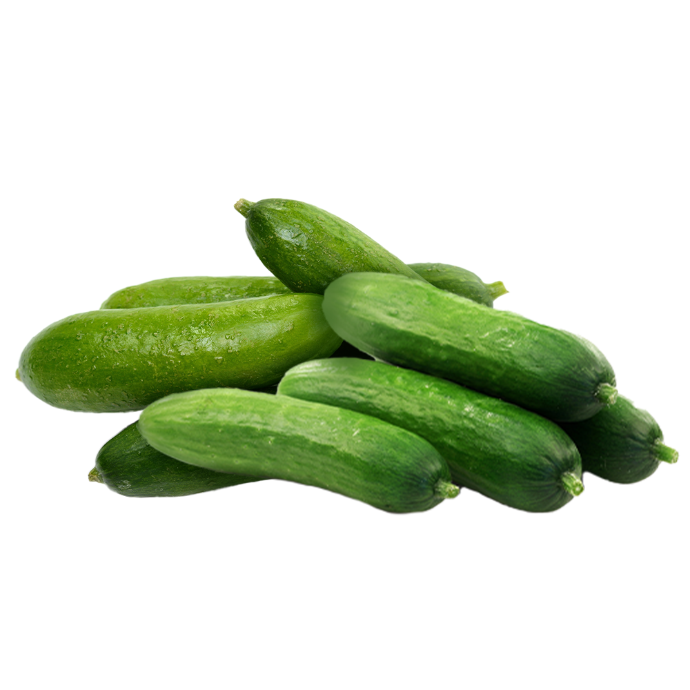 Çengelköy Salatalık